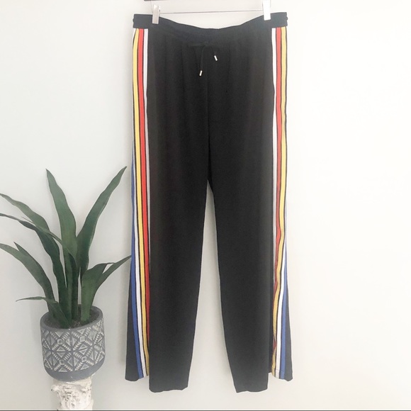 Lane Bryant Pants - Lane Bryant Multicolor Side Stripe Black Pants